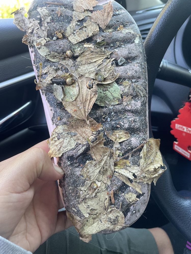 BREEZEWOOD VILLAGE Updated September 2024 1359 Worley Rd, Suisun