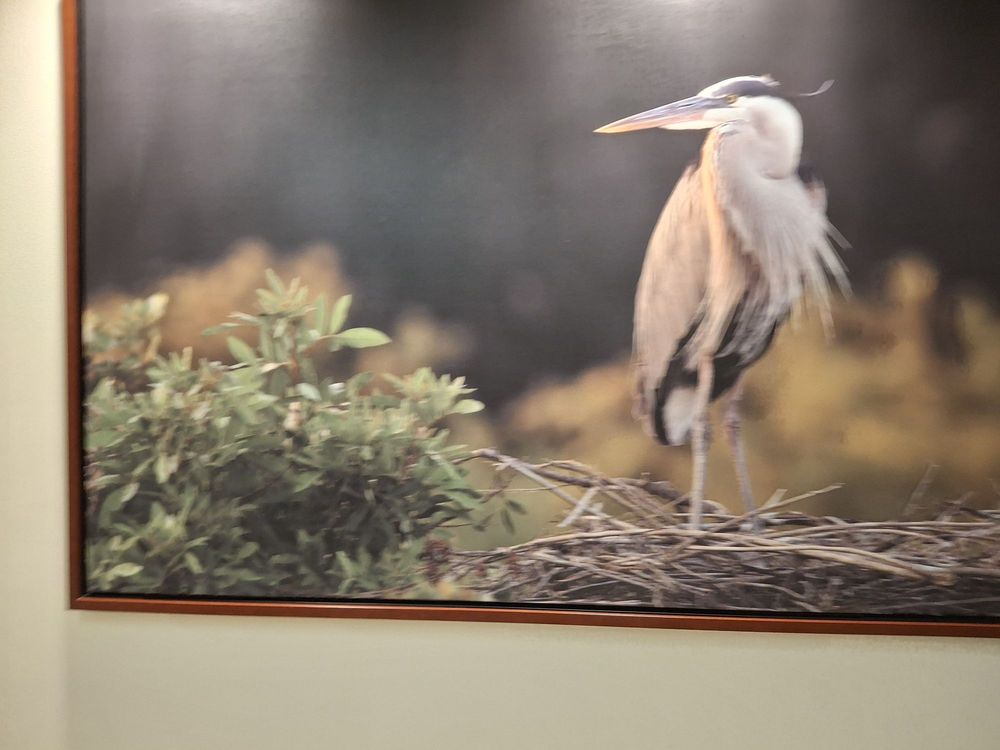 AdventHealth Orlando - patient advocate in Orlando, FL