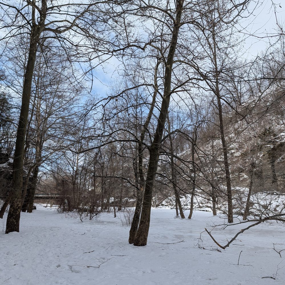 Ithaca Falls - February 2026 - Hiking Near Me