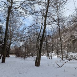Ithaca Falls - February 2026