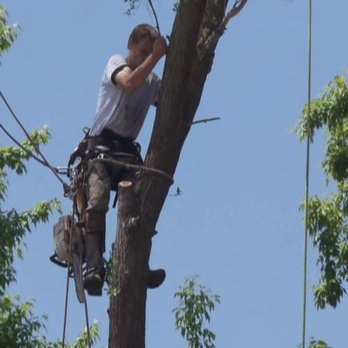 Gary's Tree and Crane Service - Tree Services Near Me Gary's Tree and Crane Service - Tree Services Near Me
