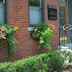 Andrea C Mulholland, DDS