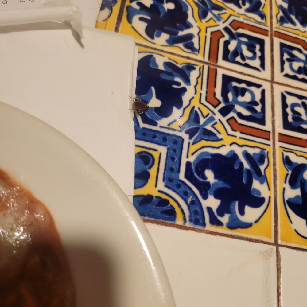 Don Jose's Restaurant - Mexican Near Me - Castro Valley, California