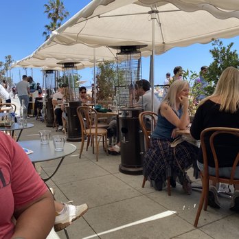 Fig Tree - Cafes Near Me - Los Angeles, California Fig Tree - Cafes Near Me - Los Angeles, California