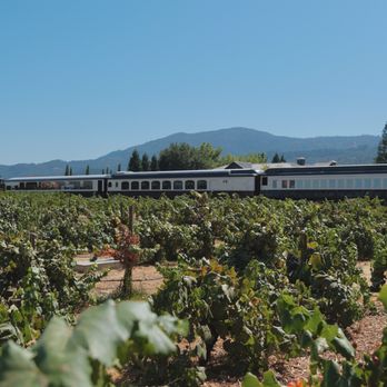 V Sattui Winery - Wineries Near Me - Saint Helena, California