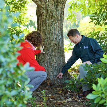 Bartlett Tree Experts - Tree Services Near Me - Bel Air, Maryland Bartlett Tree Experts - Tree Services Near Me - Bel Air, Maryland