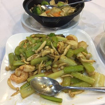 Pacific Lighthouse Restaurant - Dim Sum Near Me - Alameda, California Pacific Lighthouse Restaurant - Dim Sum Near Me - Alameda, California