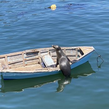 Mersea's - Too cute! - Bars Near Me - Avila Beach, California Mersea's - Too cute! - Bars Near Me - Avila Beach, California