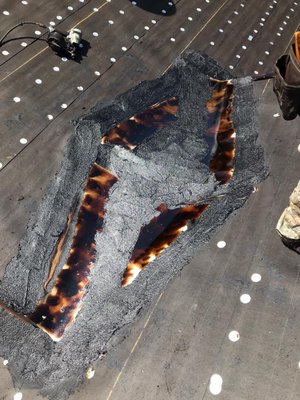 Friedel Development Group Logo