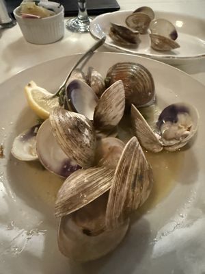 Alpine Grille by null