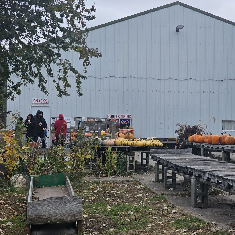 Pumpkinville & Cornmaze - Kids Activities Near Me - Mitchellville, Iowa Pumpkinville & Cornmaze - Kids Activities Near Me - Mitchellville, Iowa