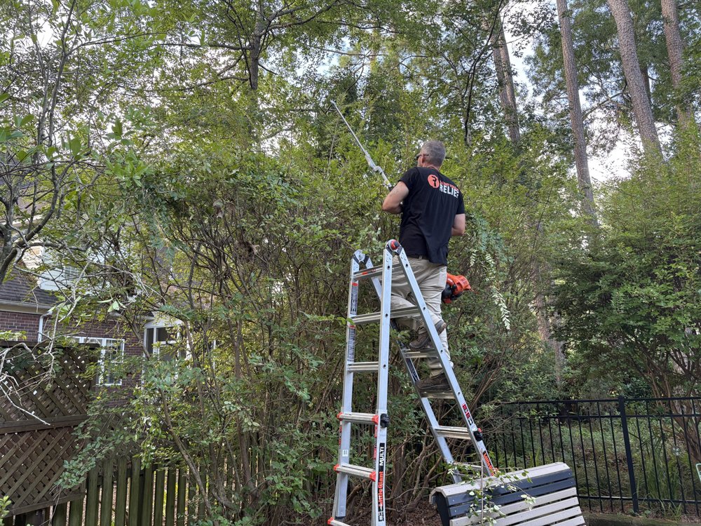 Quality Cuts Lawn Care - tree service in Summerville, SC