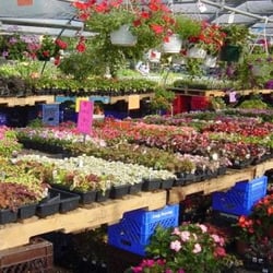 Clover's Garden Center - Clover's Greenhouse!