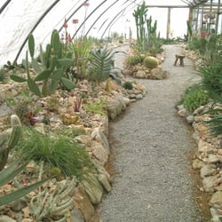 La Cactuseraie d'Escaïre Figue - La serre en visite guidée