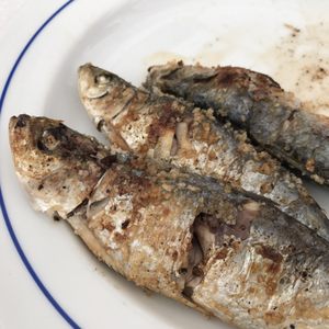 Casa Pires a Sardinha on Yelp