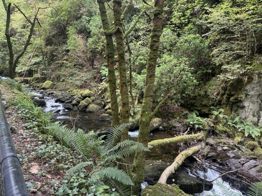Killarney National Park by null