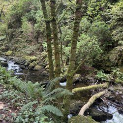 Killarney National Park