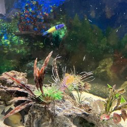 Hardy's Aquatics & Pets - Feeding time