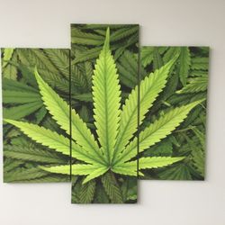 The Holistic Connection-Chattanooga