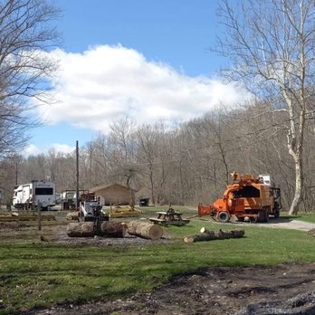 Tree Bros - Tree Services Near Me - Bloomfield, New York