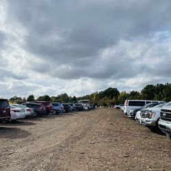 Chubby's Pumpkin Patch - Parking lot, plenty of space