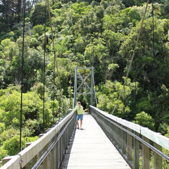 Zealandia - Zoos Near Me - Wellington, WGN Zealandia - Zoos Near Me - Wellington, WGN