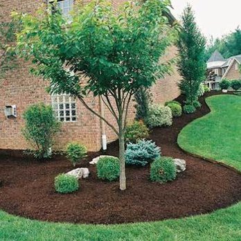 K&S Lawn Maintenance - a front yard with mulch - Landscaping Near Me K&S Lawn Maintenance - a front yard with mulch - Landscaping Near Me