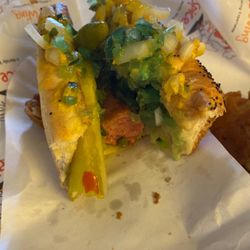 The Original Hot Dog Factory & Spice Wing - Chicago dog