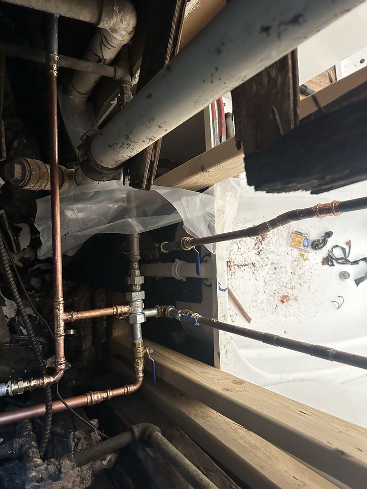 Slide of Superior Rooter