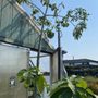 Photo of A & T Garden Center and Florist