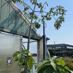 A & T Garden Center and Florist - Outside