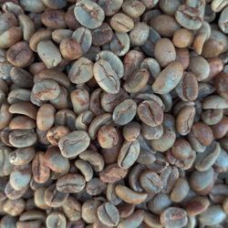 CrowBeard - Raw and unroasted green coffee beans