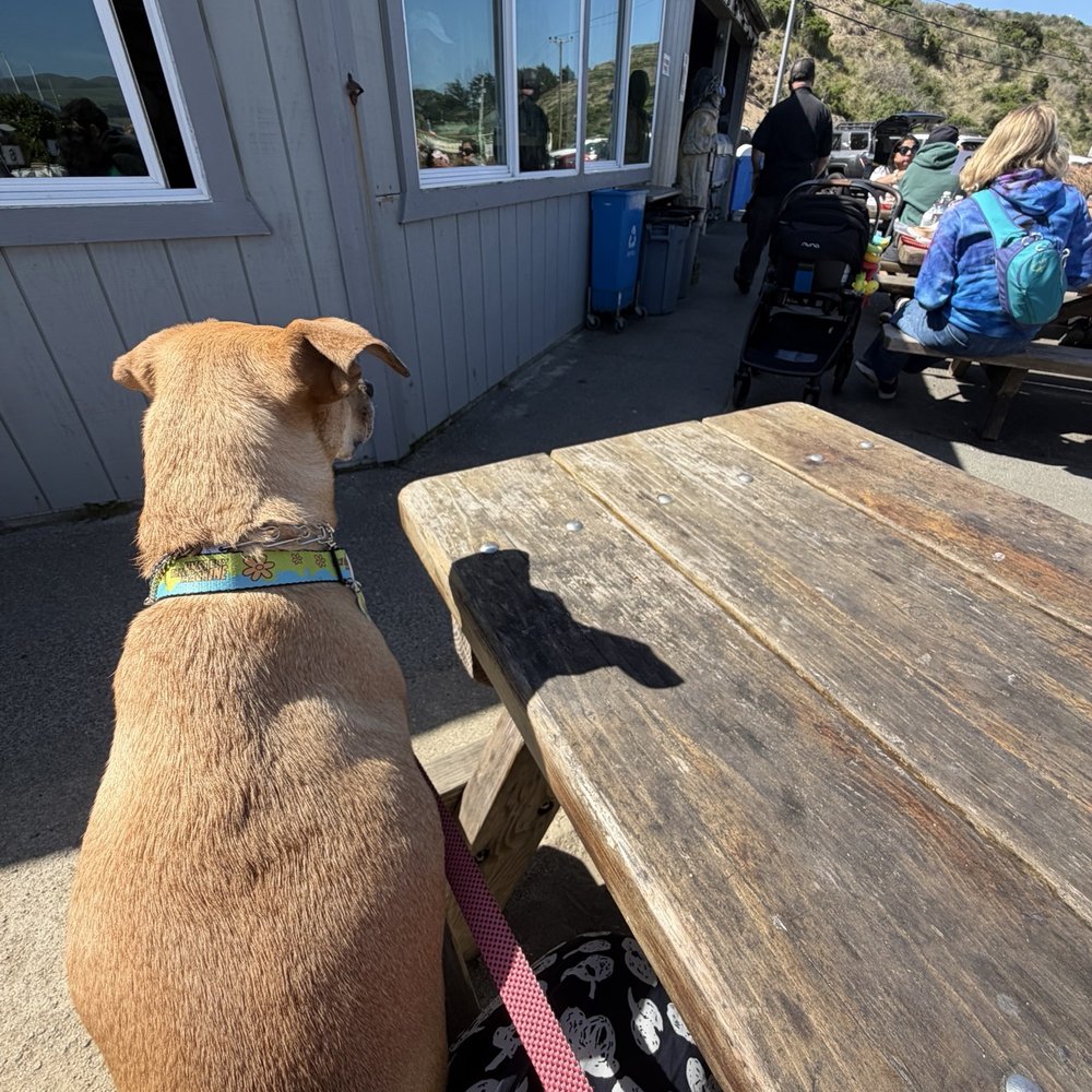 Fisherman's Cove - Outdoor tables - Seafood Near Me - Bodega Bay, California Fisherman's Cove - Outdoor tables - Seafood Near Me - Bodega Bay, California