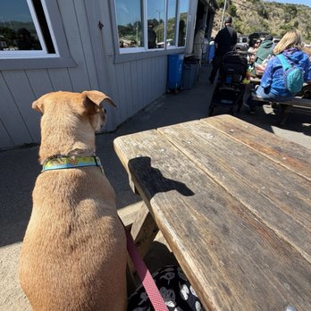 Fisherman's Cove - Outdoor tables - Seafood Near Me - Bodega Bay, California Fisherman's Cove - Outdoor tables - Seafood Near Me - Bodega Bay, California