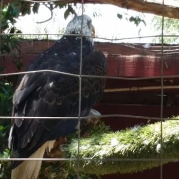 Wildlife Learning Center - Zoos Near Me - Sylmar, California Wildlife Learning Center - Zoos Near Me - Sylmar, California