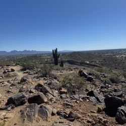 Buffalo Ridge Park