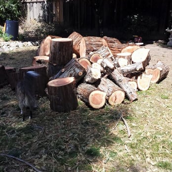 Am/Pm Tree Service - Tree Services Near Me - Vallejo, California