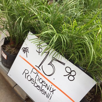 The Home Depot - Good price! - Nurseries & Gardening Near Me - Fresno, California The Home Depot - Good price! - Nurseries & Gardening Near Me - Fresno, California