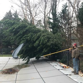 Rilee Tree Experts - Tree Services Near Me - Manakin Sabot, Virginia