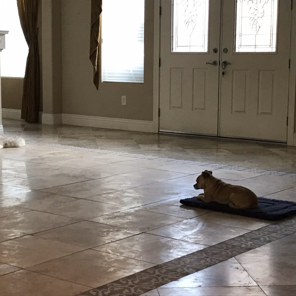 Nevada Marble Restoration - Flooring Near Me - Henderson, Nevada