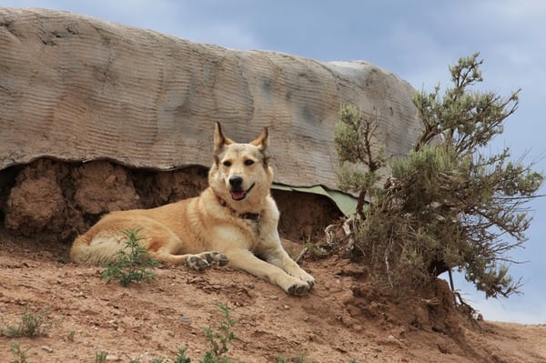 Earthship Visitor Center by null