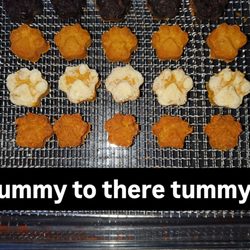 Willis Dog Treats - Come try our Gluten-free Dog and Cat treats