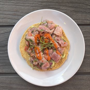 Holbox - Tostada de Atun - Latin American Near Me - Los Angeles, California Holbox - Tostada de Atun - Latin American Near Me - Los Angeles, California