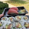 Tokyo Express Hibachi and Sushi - Nicholasville gift card
