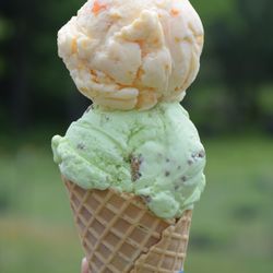 Rota Spring Farm - key lime pie (regular) and peach (vegan)