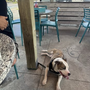 Shaka Taco - Outdoor seating - Tacos Near Me - Surf City, North Carolina Shaka Taco - Outdoor seating - Tacos Near Me - Surf City, North Carolina
