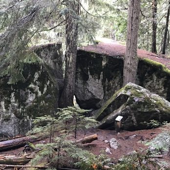 Old Growth Trail - Hiking Near Me - Balfour, British Columbia Old Growth Trail - Hiking Near Me - Balfour, British Columbia