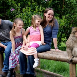 Monkey Forest Trentham
