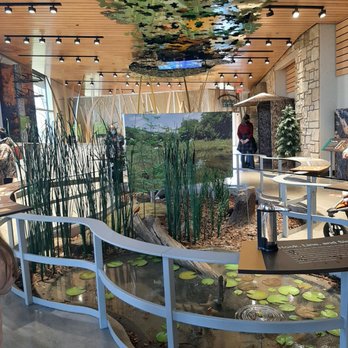 Ozark Highlands Nature Center - Museums Near Me - Springdale, Arkansas Ozark Highlands Nature Center - Museums Near Me - Springdale, Arkansas