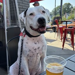 My buddy enjoying the friendly atmosphere My buddy enjoying the friendly atmosphere